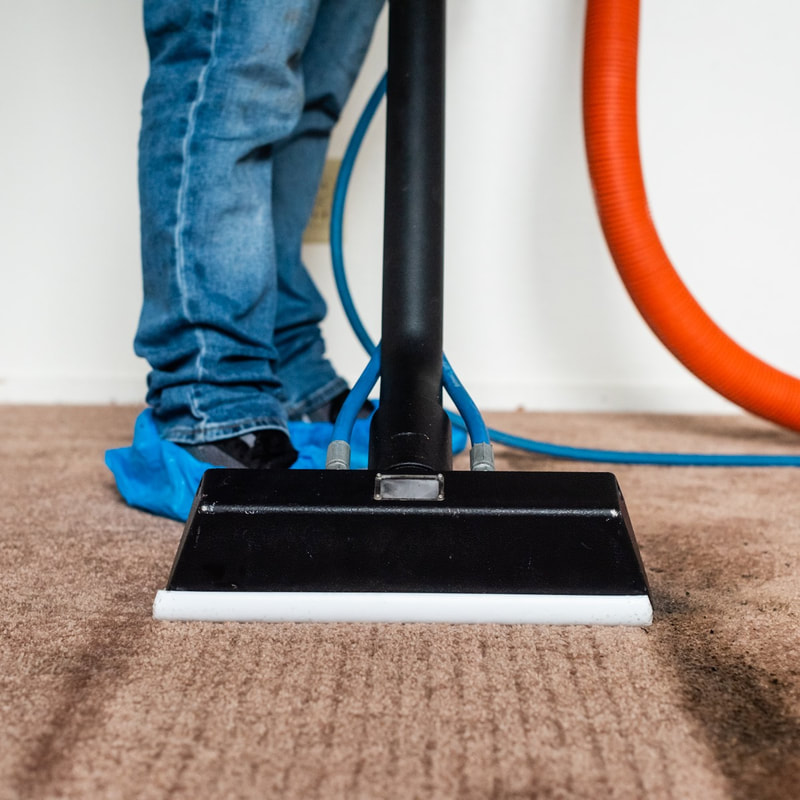 Magic Carpets Cleaning Services Oakland